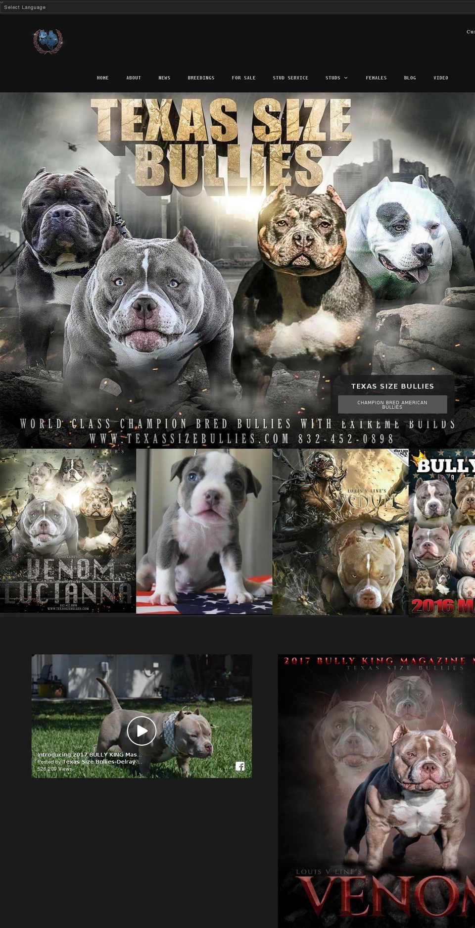 texassizebullies.com shopify website screenshot