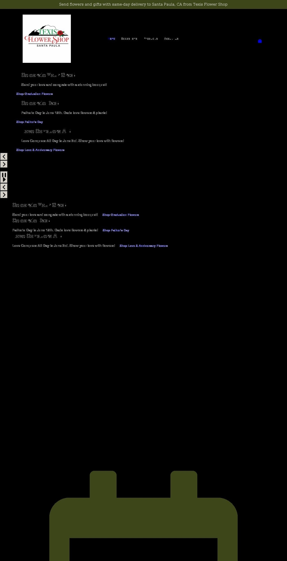mol-standard- Shopify theme site example texisflowershop.net