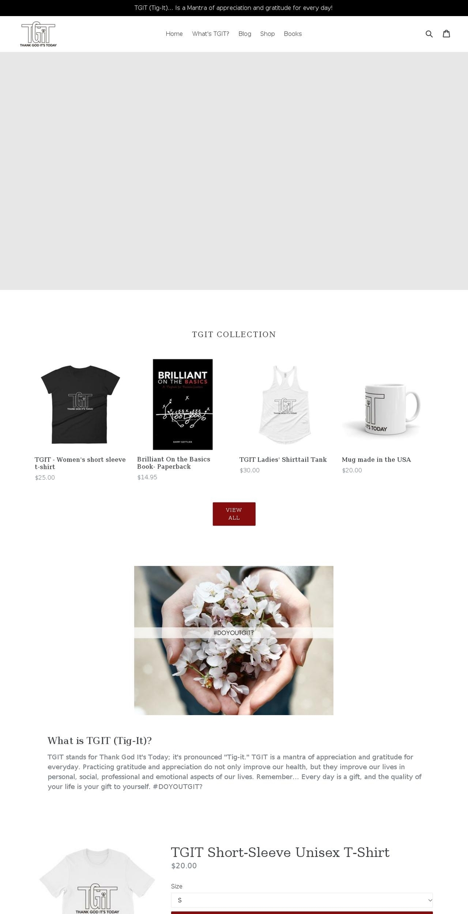 tgit.guru shopify website screenshot