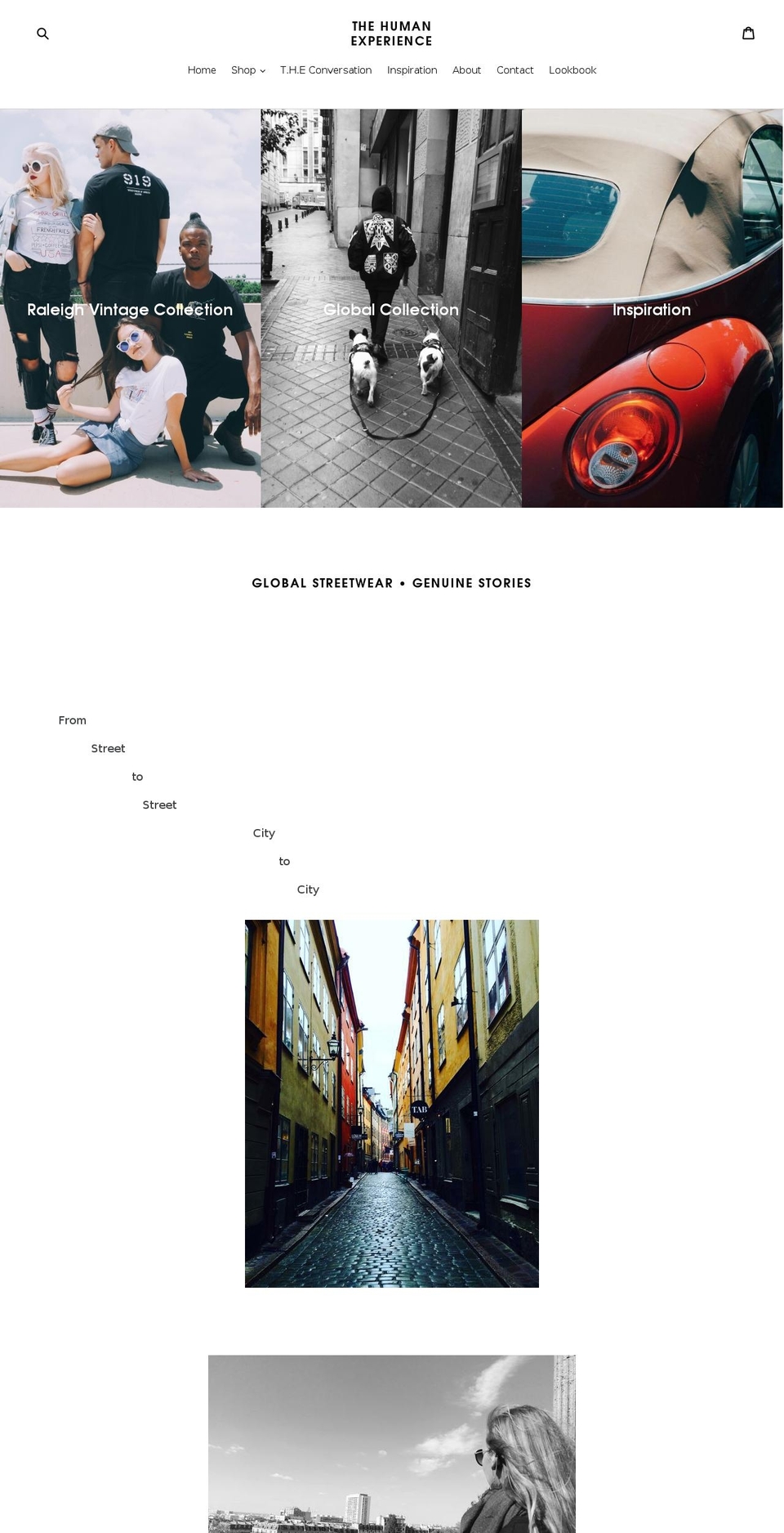 the-human-experience.com — Shopify storefront screenshot