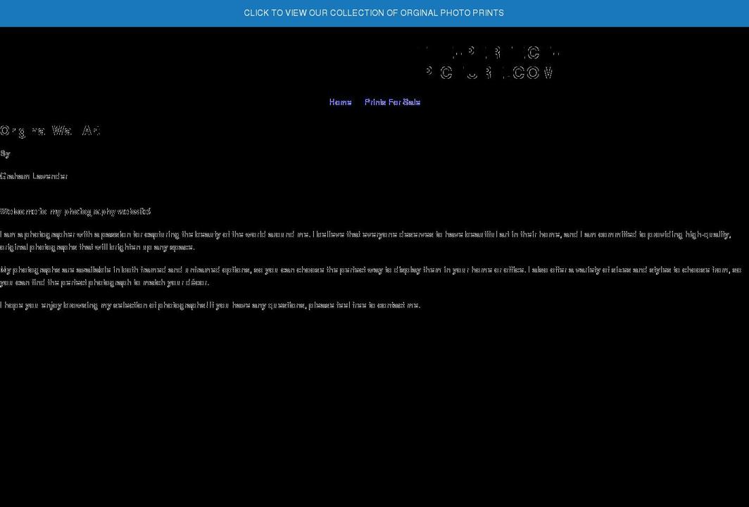 the-perfect-picture.com shopify website screenshot