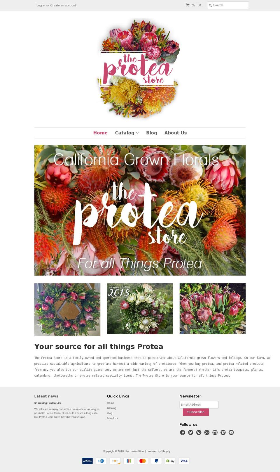 the-protea-store.myshopify.com shopify website screenshot