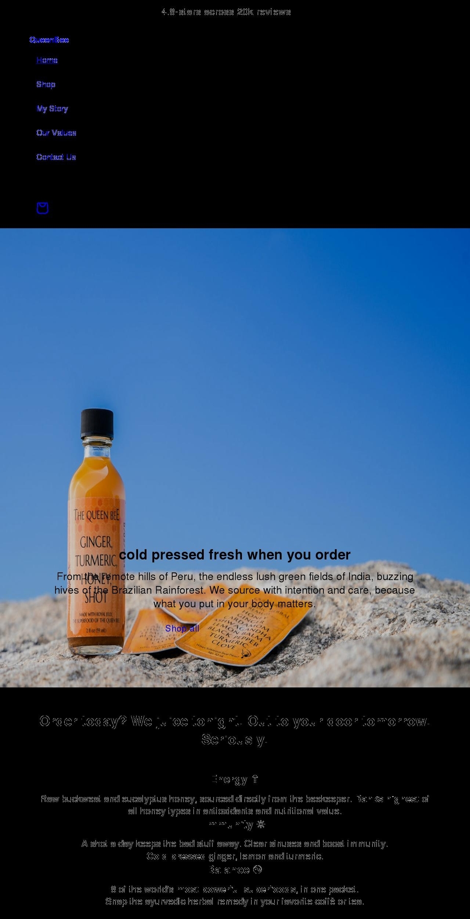 the-queenbee.com shopify website screenshot