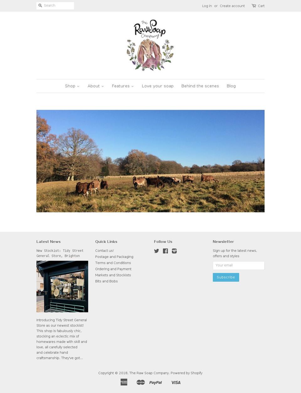 the-raw-soap-company.myshopify.com shopify website screenshot