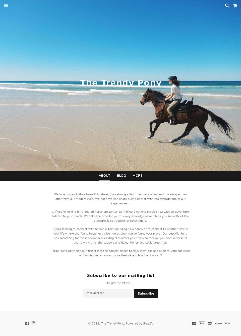 the-trendy-pony.com — Shopify storefront screenshot