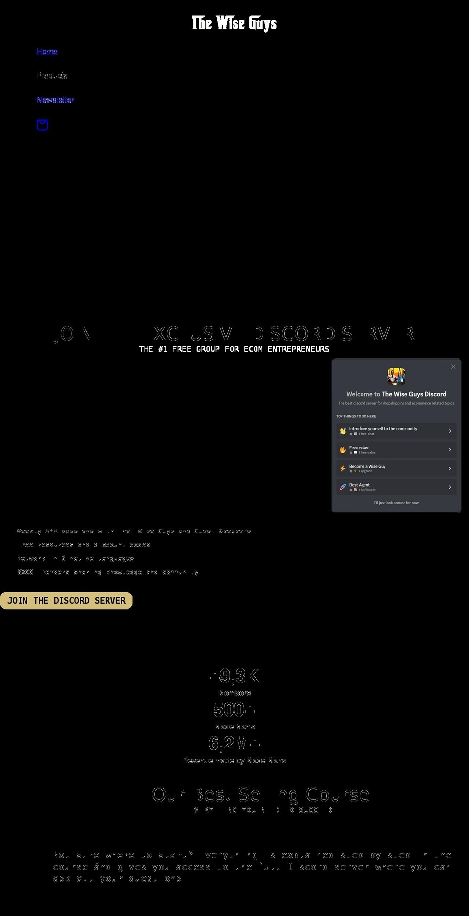 the-wise-guys.com shopify website screenshot