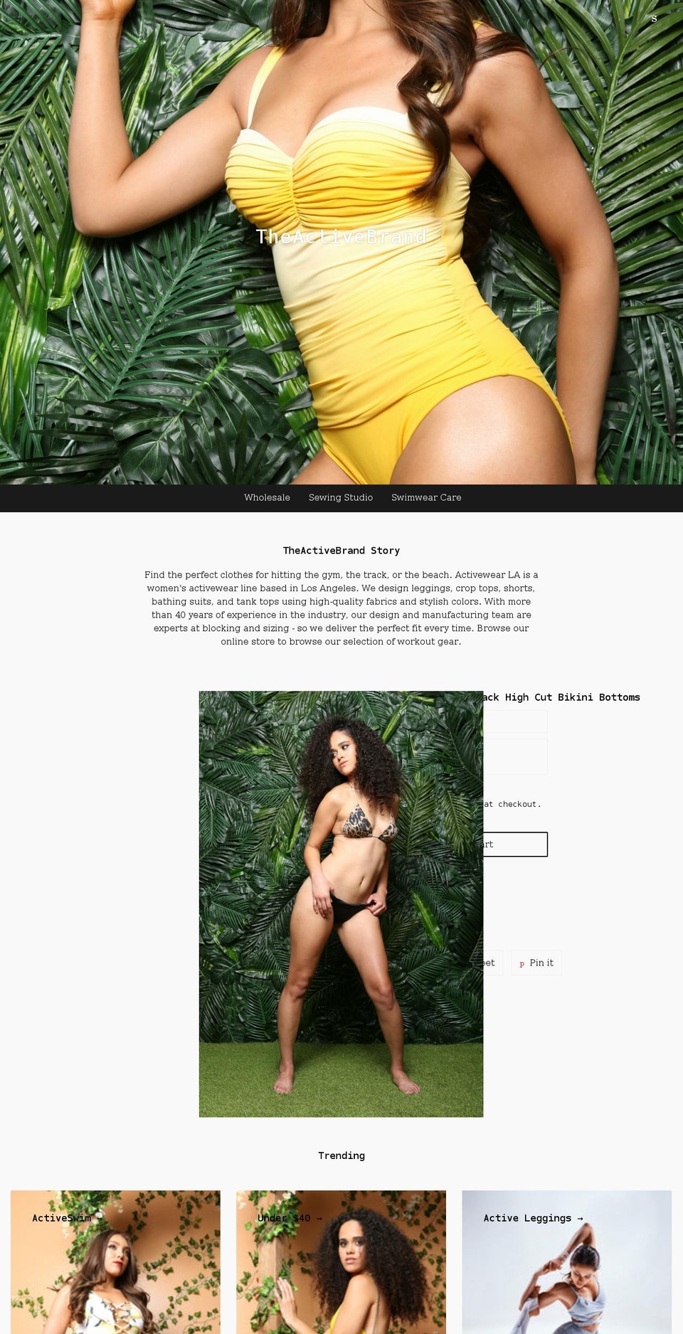 theactivebrand.com shopify website screenshot