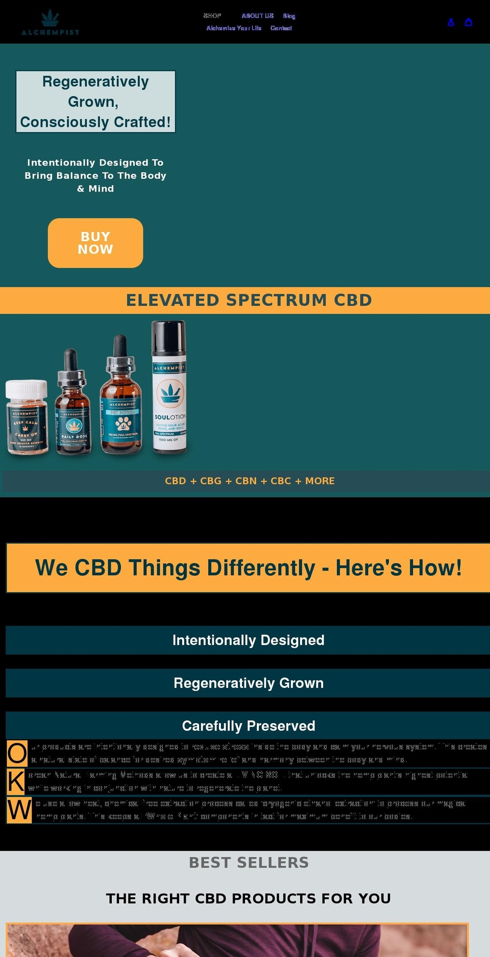 thealchempist.com shopify website screenshot