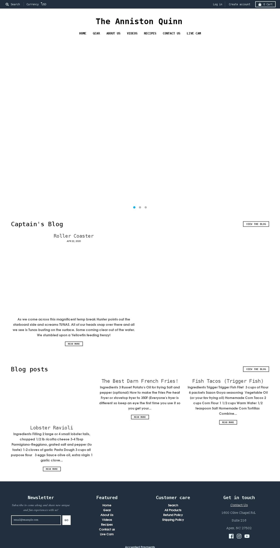 theannistonquinn.com shopify website screenshot