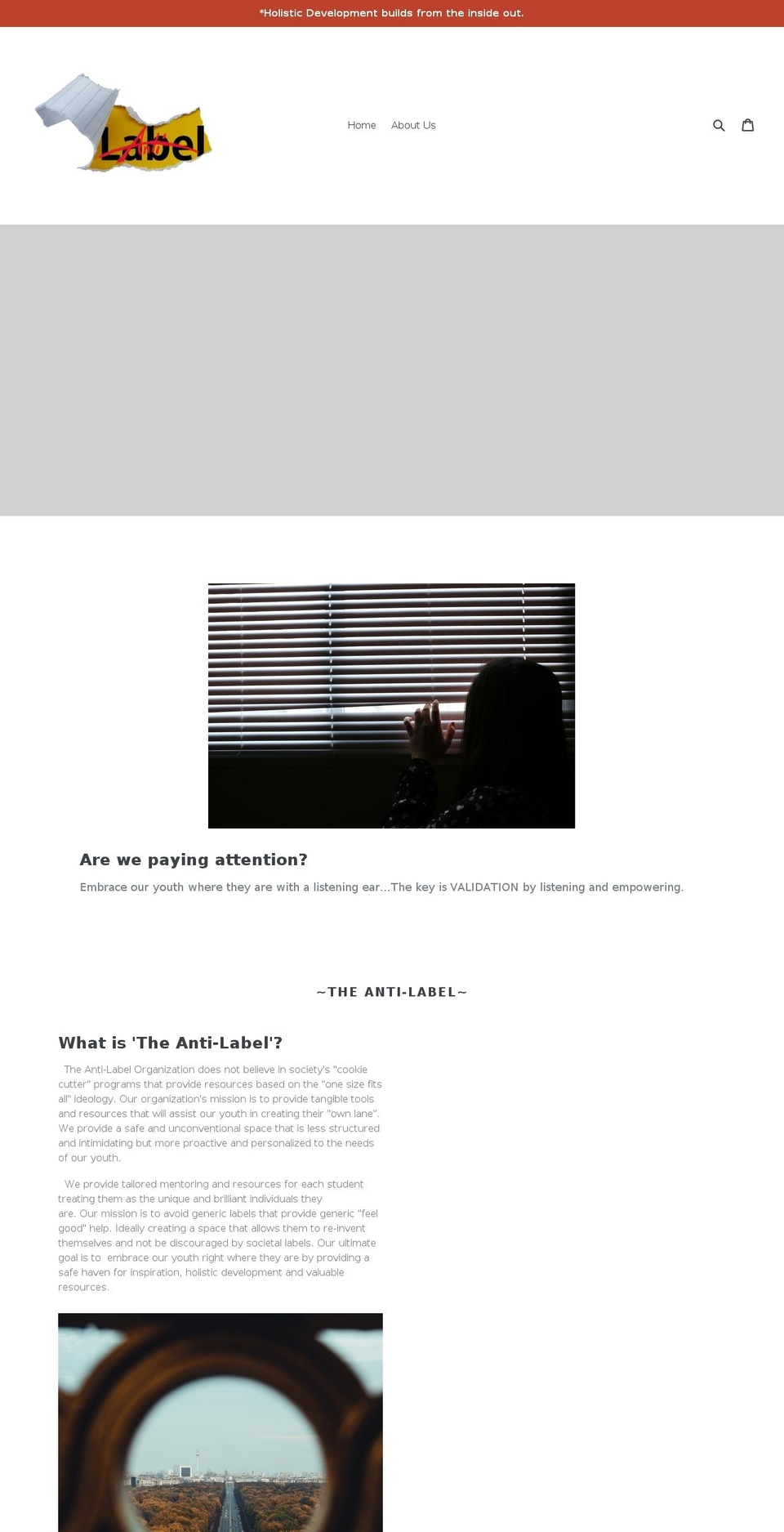 theantilabel.org shopify website screenshot