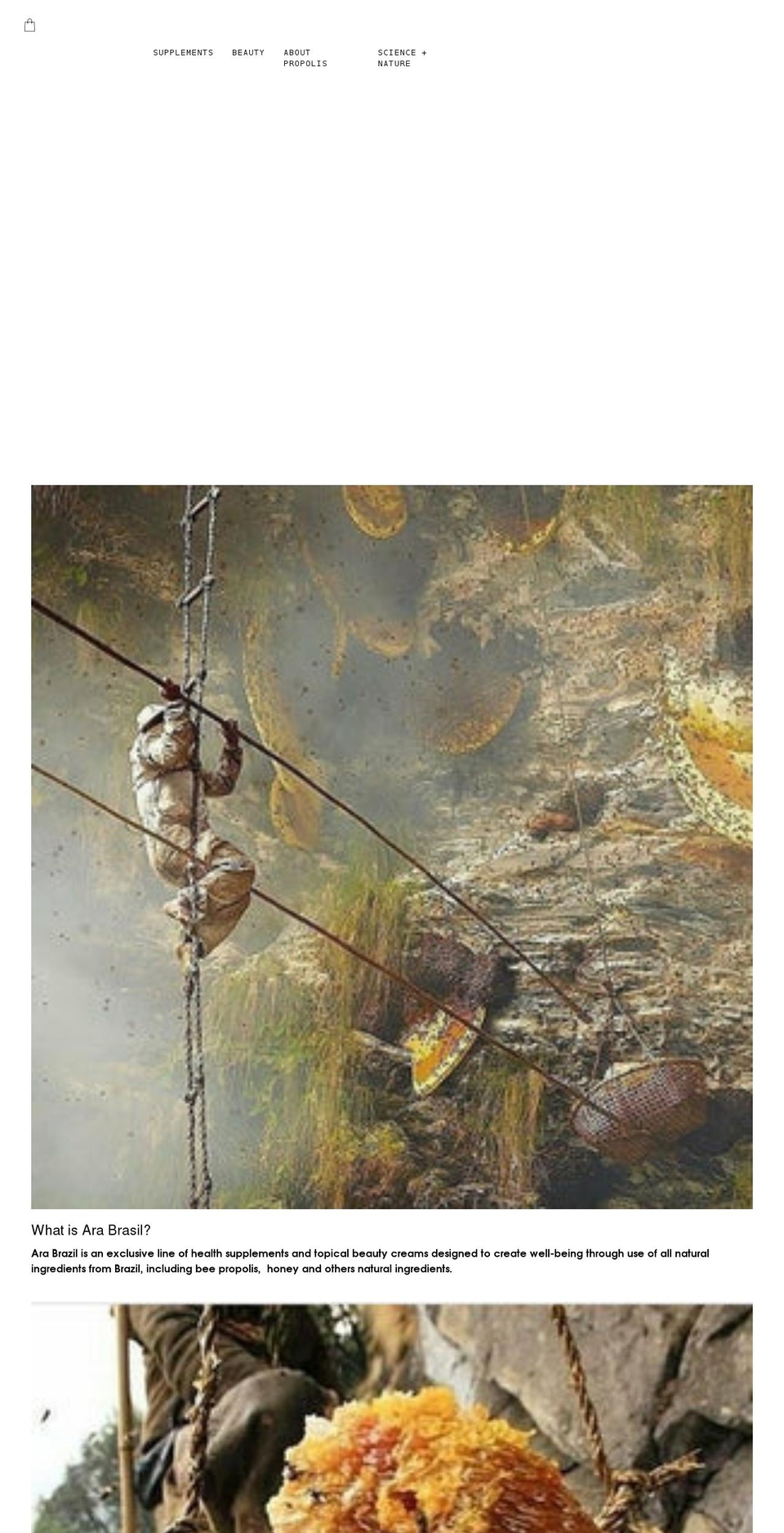 thearabrasil.com shopify website screenshot