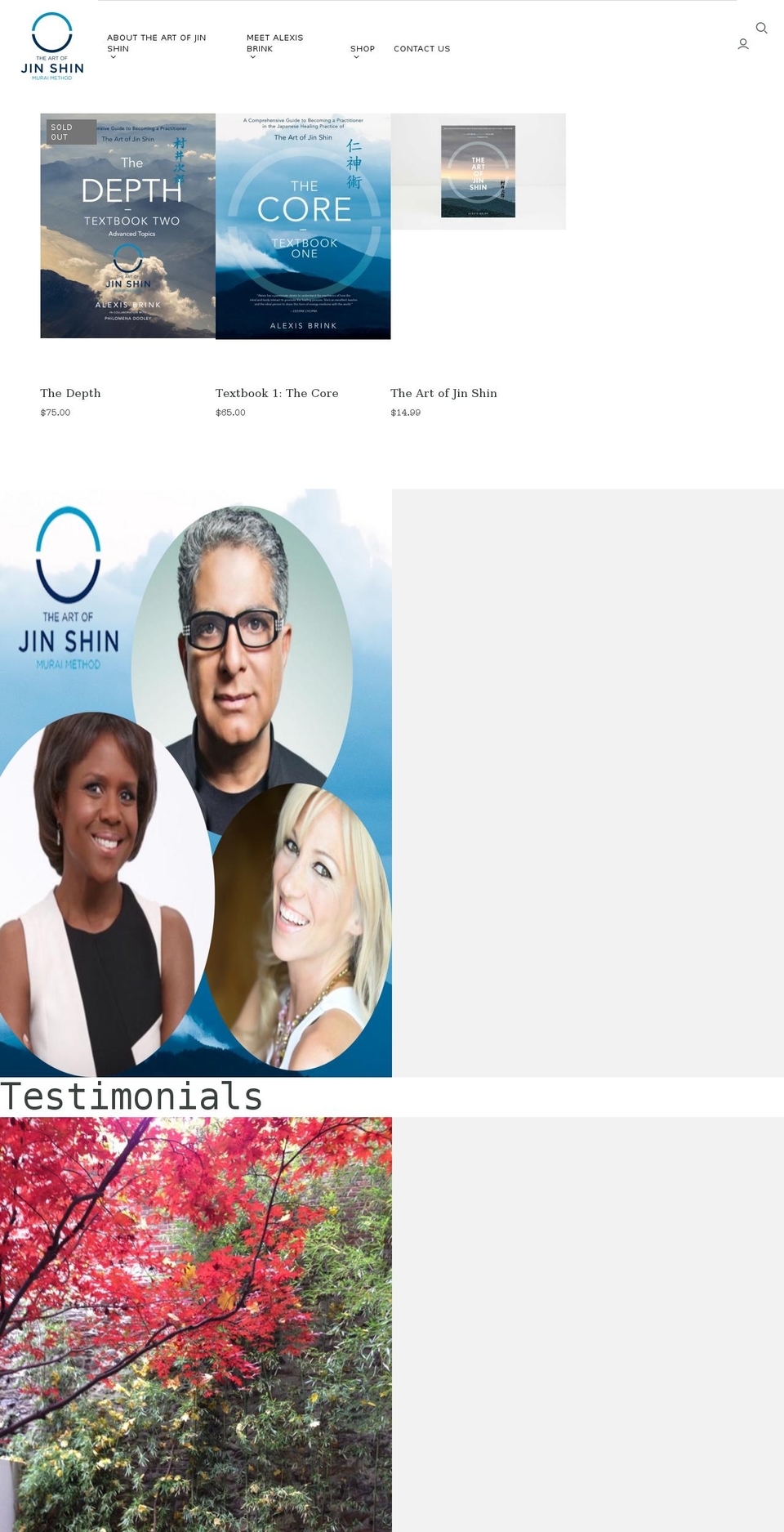 theartofjinshin.com shopify website screenshot