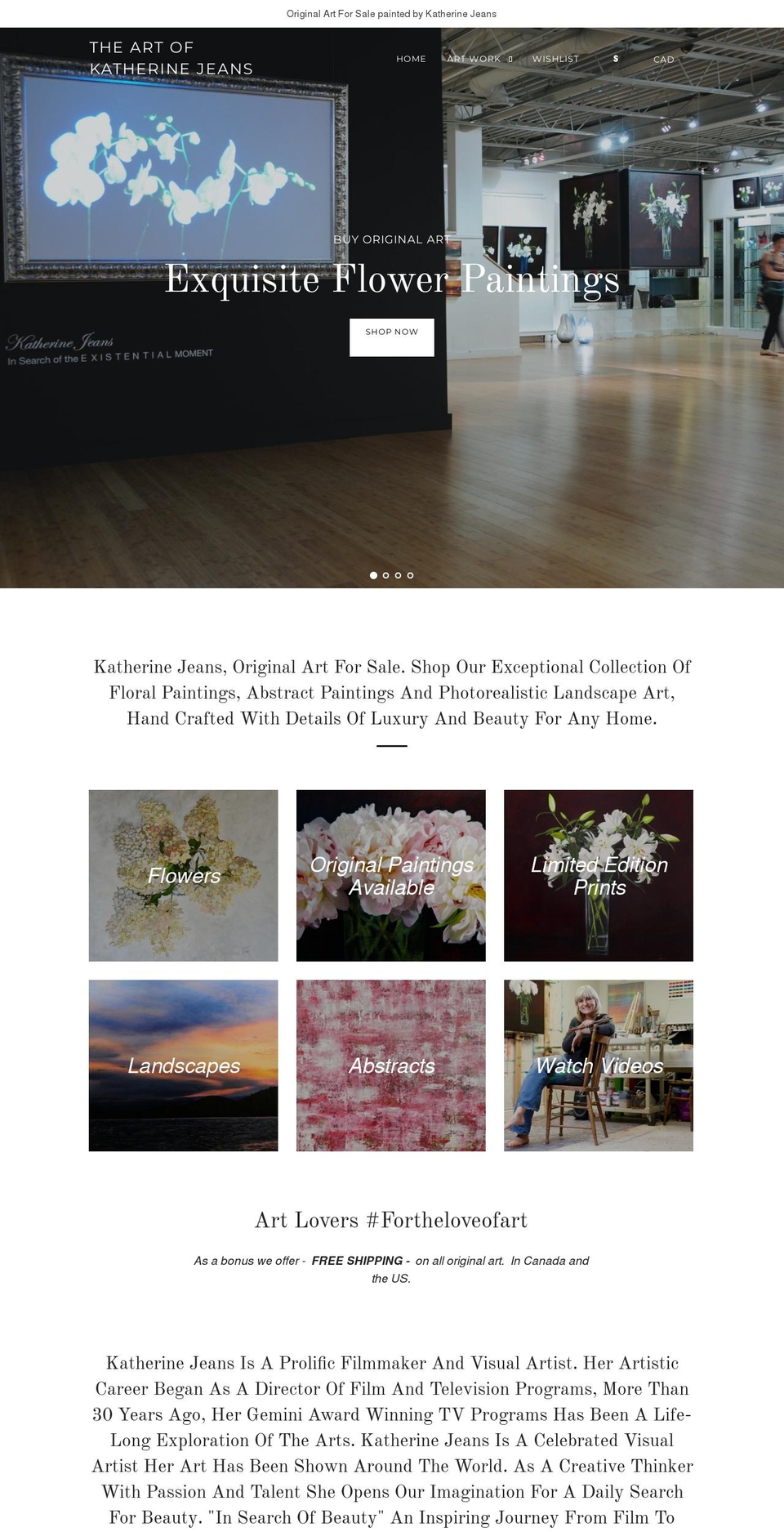 theartshoppingchannel.com — Shopify storefront screenshot