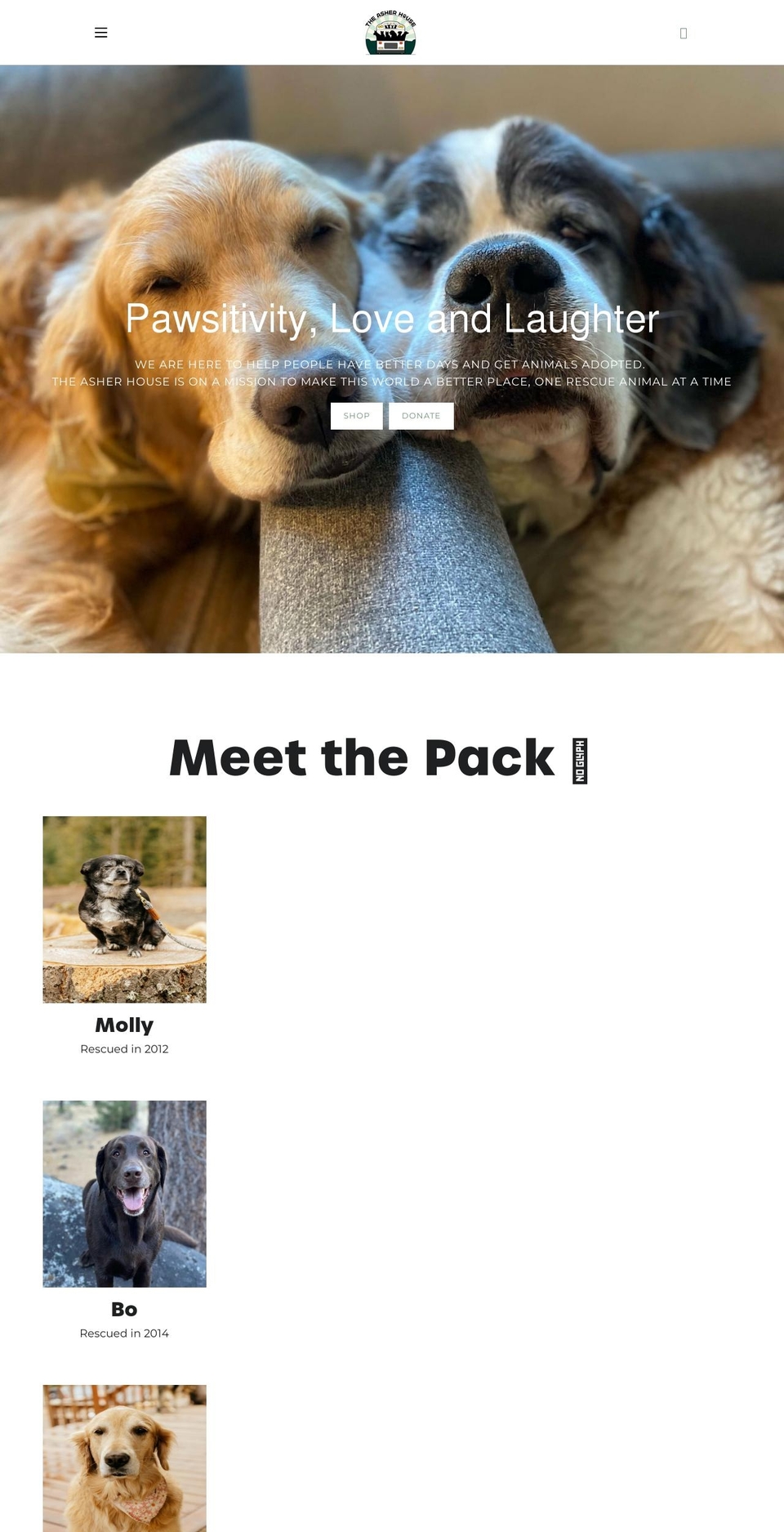 theasherhouse.com shopify website screenshot