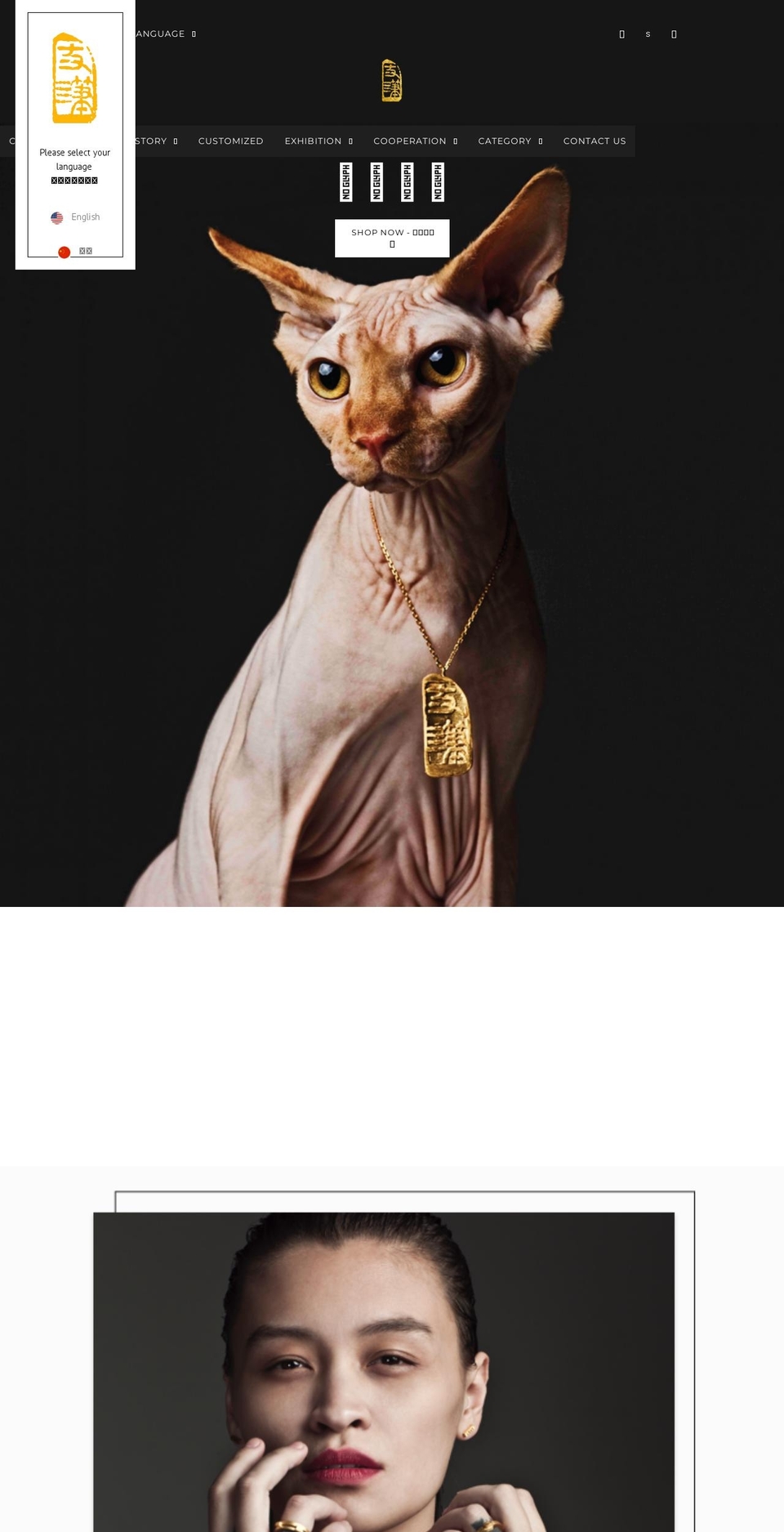 theaurumspeak.com shopify website screenshot