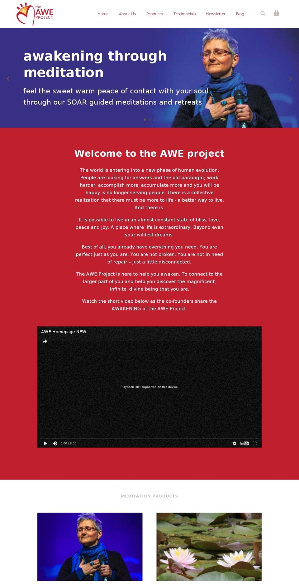theaweproject.com shopify website screenshot