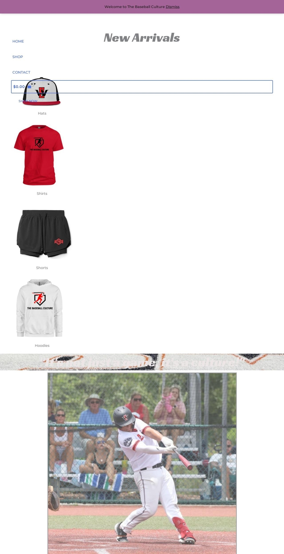 thebaseballculture.com — Shopify storefront screenshot