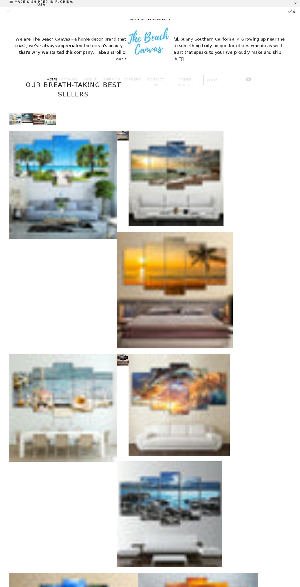 thebeachcanvas.com shopify website screenshot