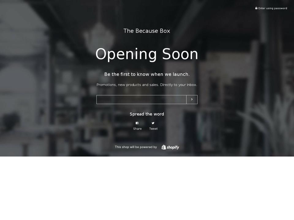 thebecausebox.com — Shopify storefront screenshot