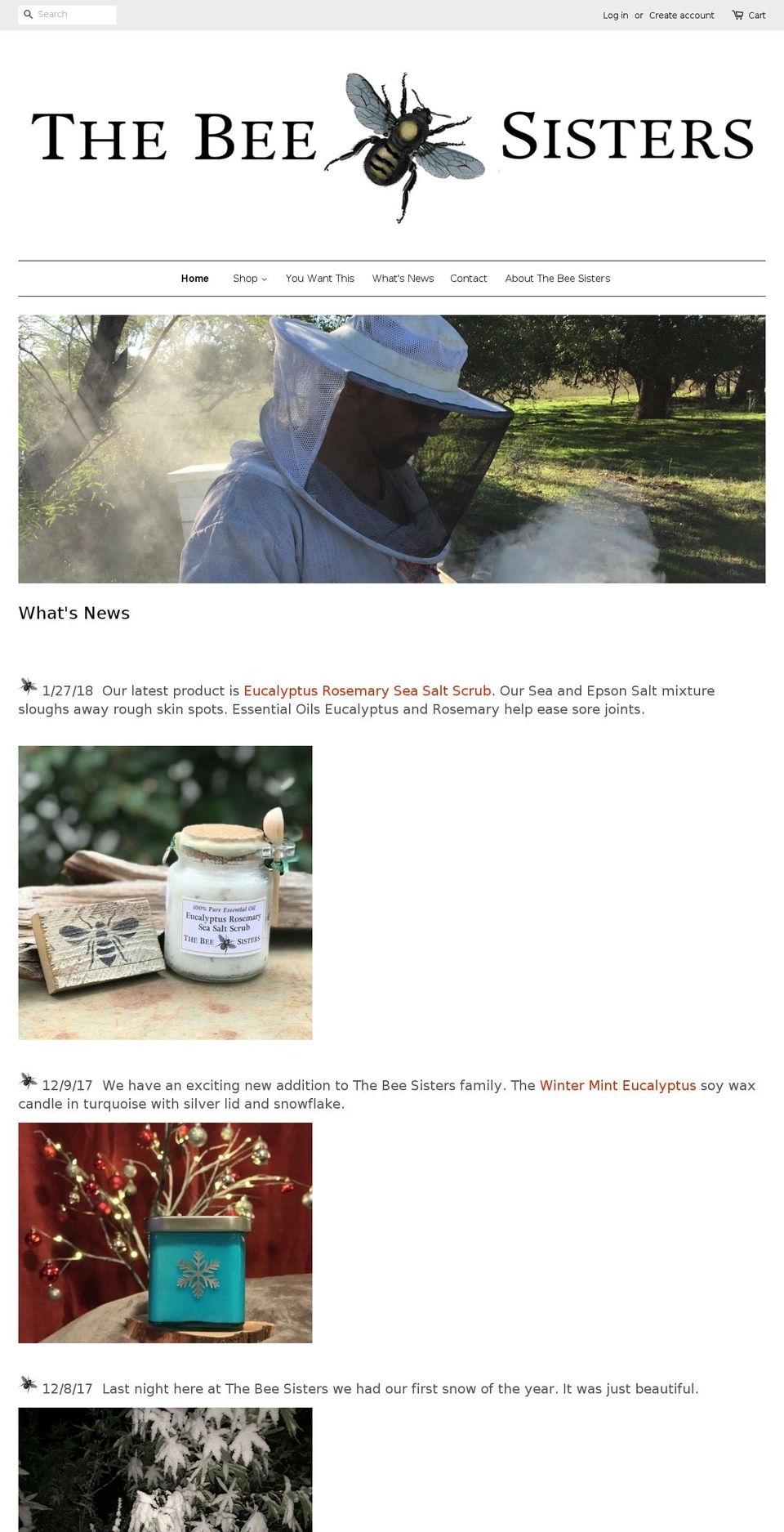 thebeesisters.com — Shopify storefront screenshot