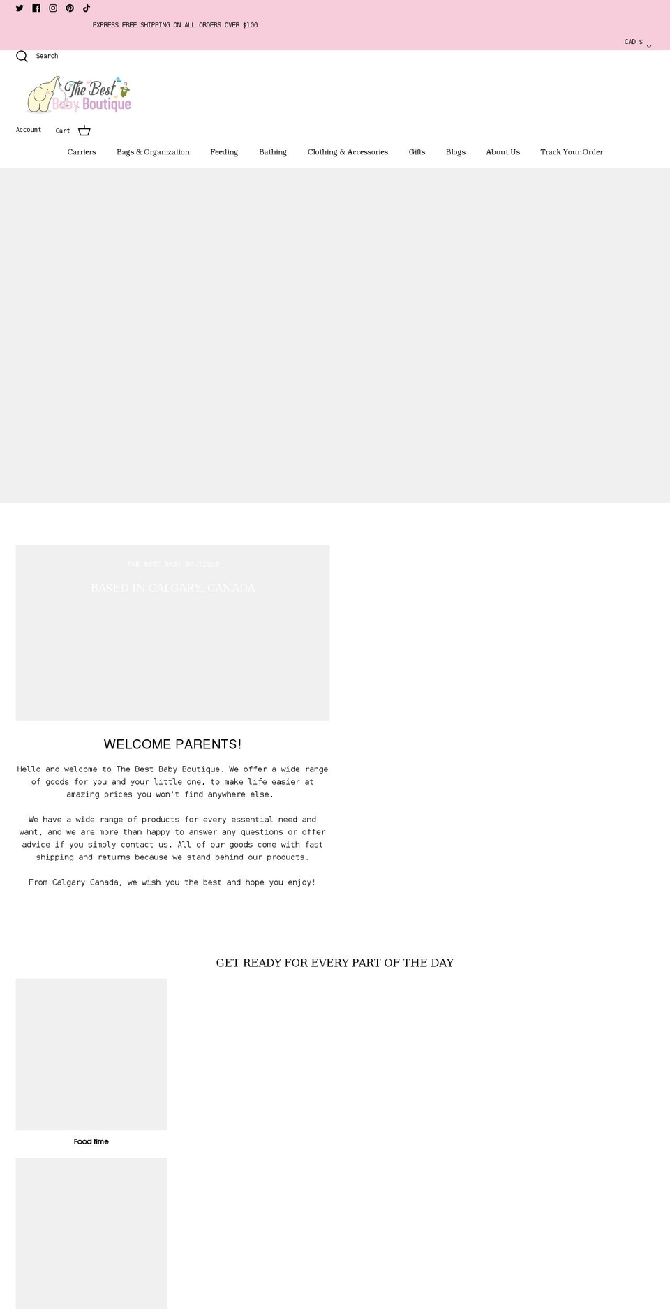 thebestbabyboutique.com shopify website screenshot