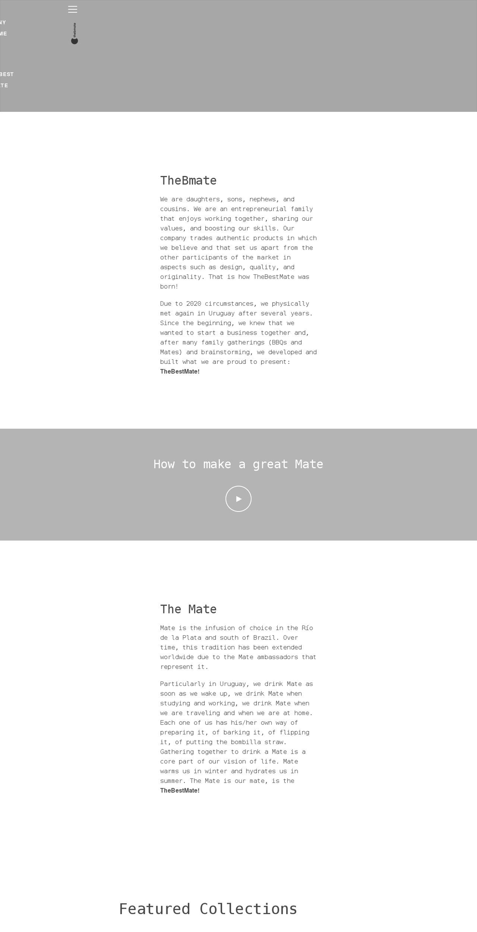 thebestmatestore.com shopify website screenshot