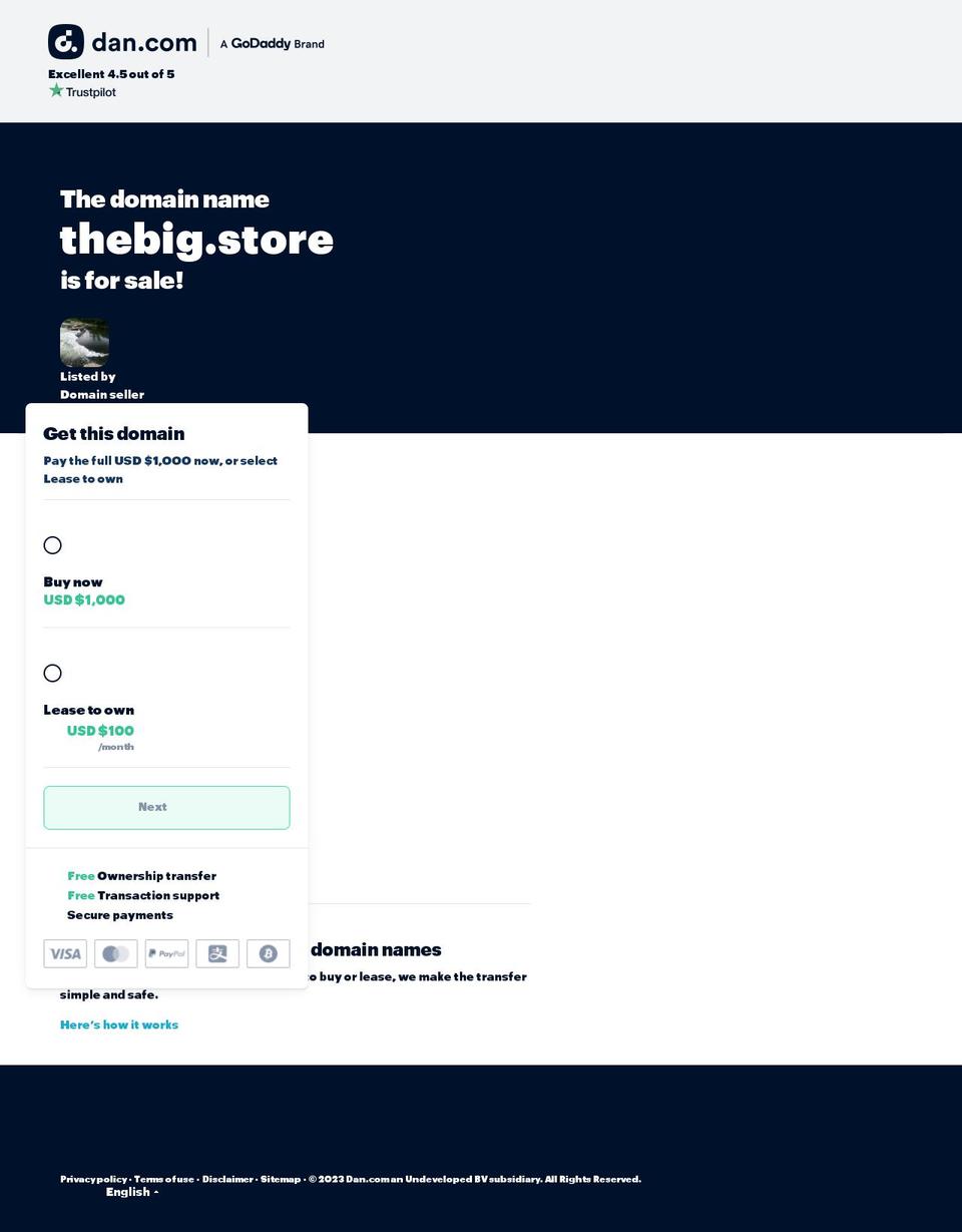 thebig.store shopify website screenshot