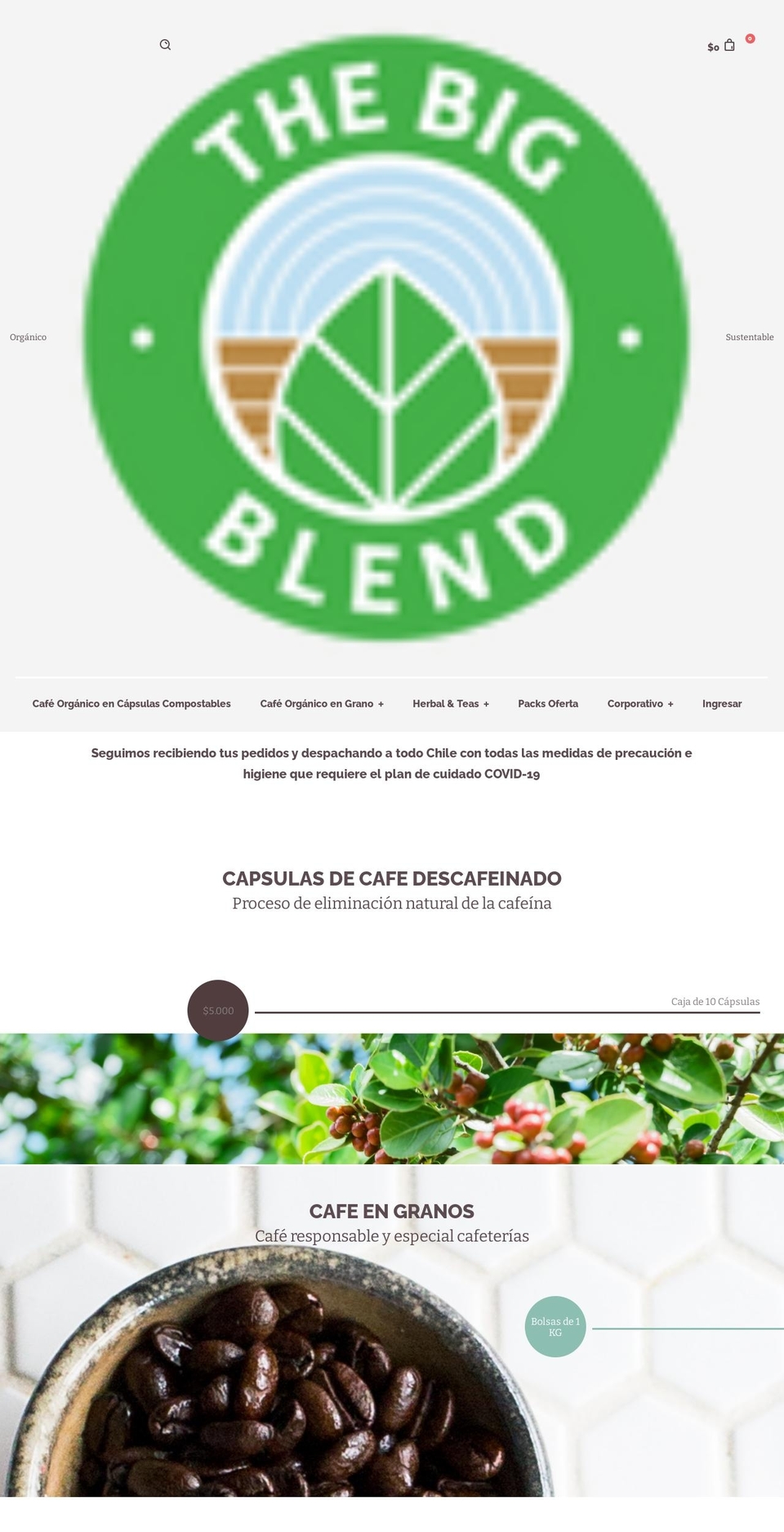 thebigblend.cl shopify website screenshot