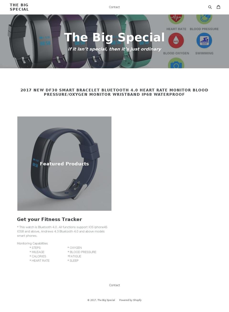 thebigspecial.com shopify website screenshot