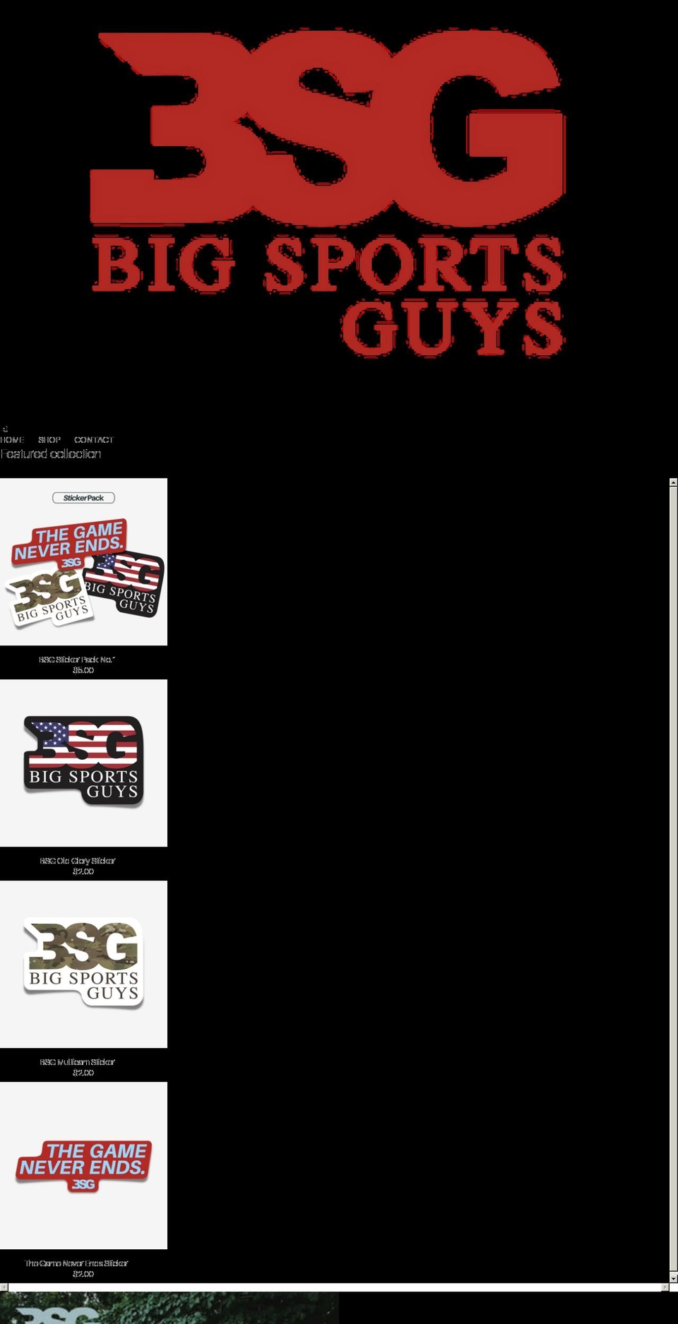 thebigsportsguys.com shopify website screenshot