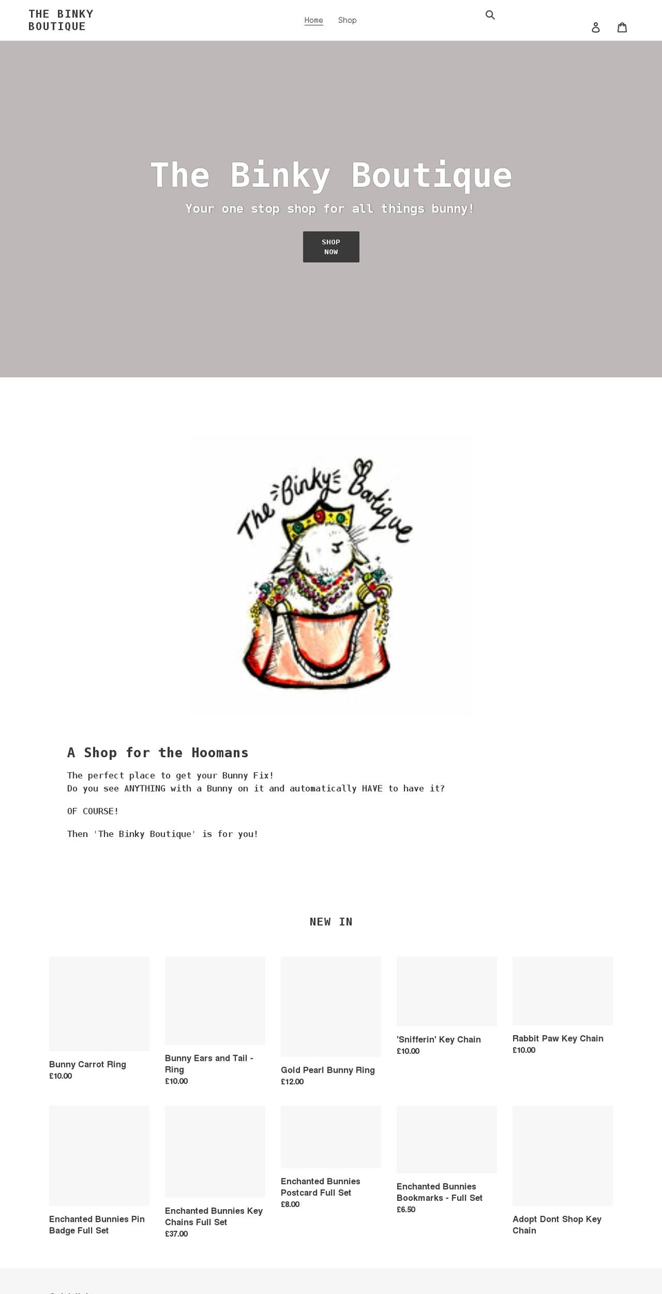 thebinkyboutique.com shopify website screenshot