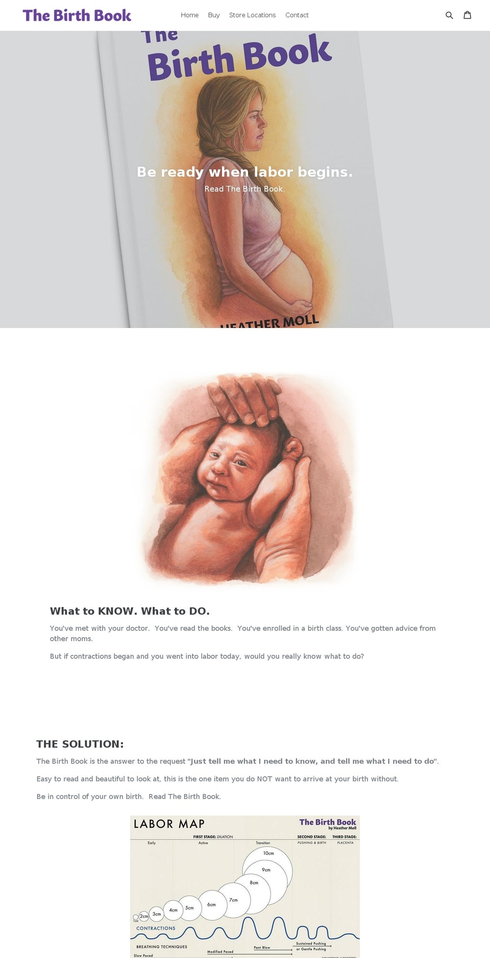 thebirthbook.com — Shopify storefront screenshot