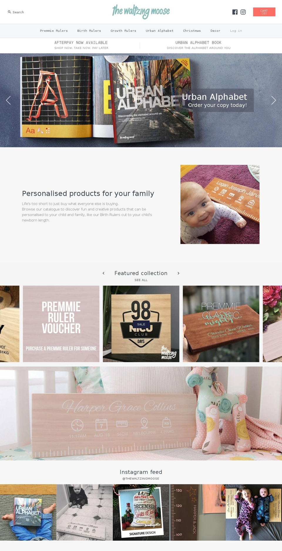thebirthruler.com — Shopify storefront screenshot