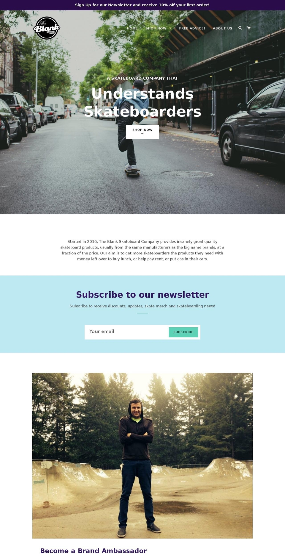 theblankskateboardcompany.com — Shopify storefront screenshot
