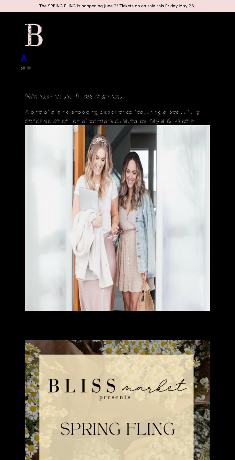 theblissmarket.com shopify website screenshot