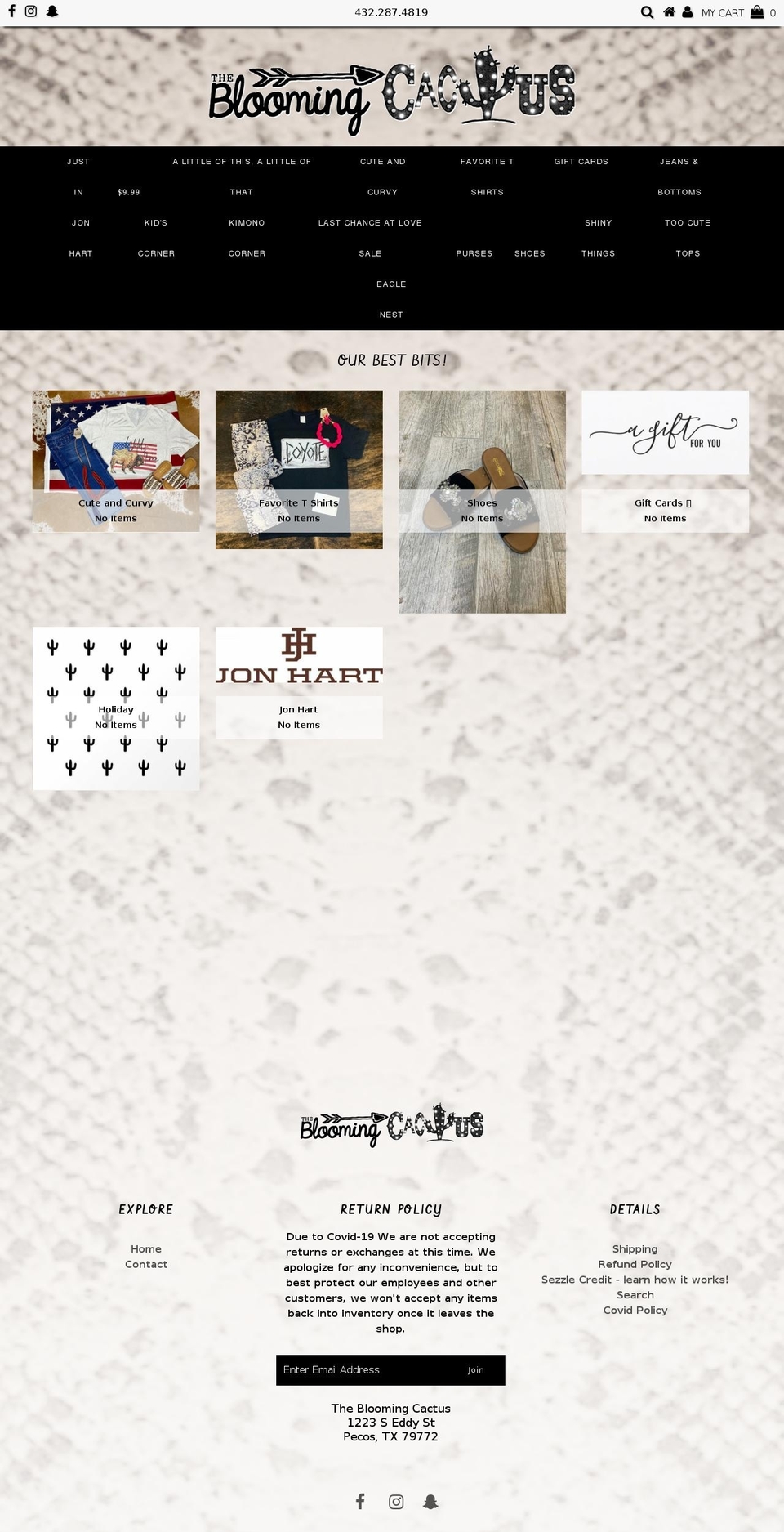 thebloomingcactus.net shopify website screenshot