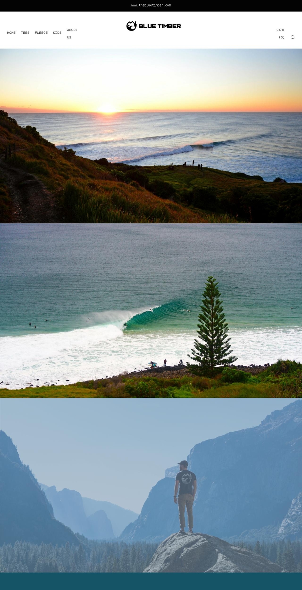 thebluetimber.com shopify website screenshot