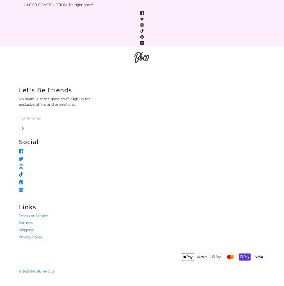theboldblondes.com shopify website screenshot