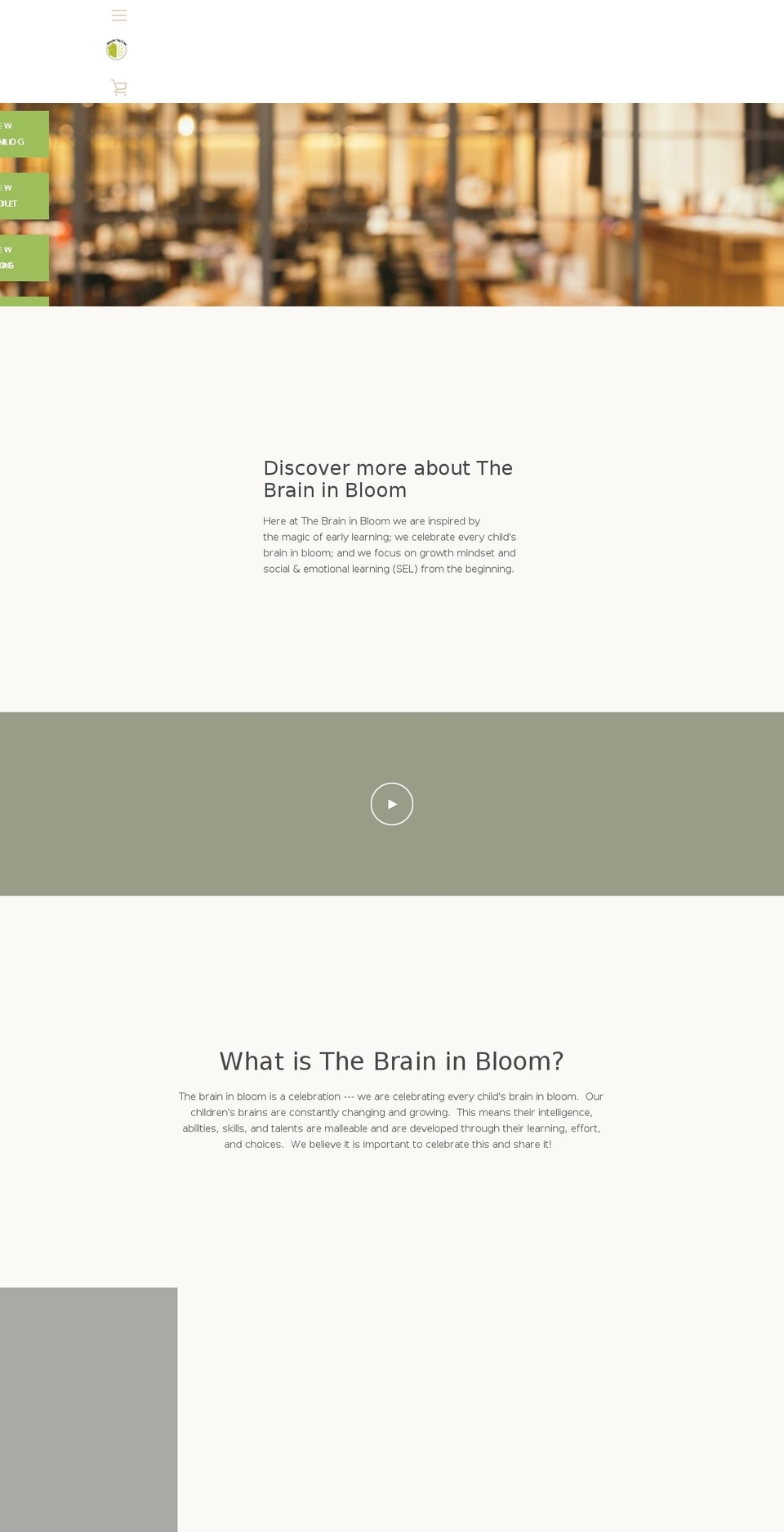 thebraininbloom.com — Shopify storefront screenshot