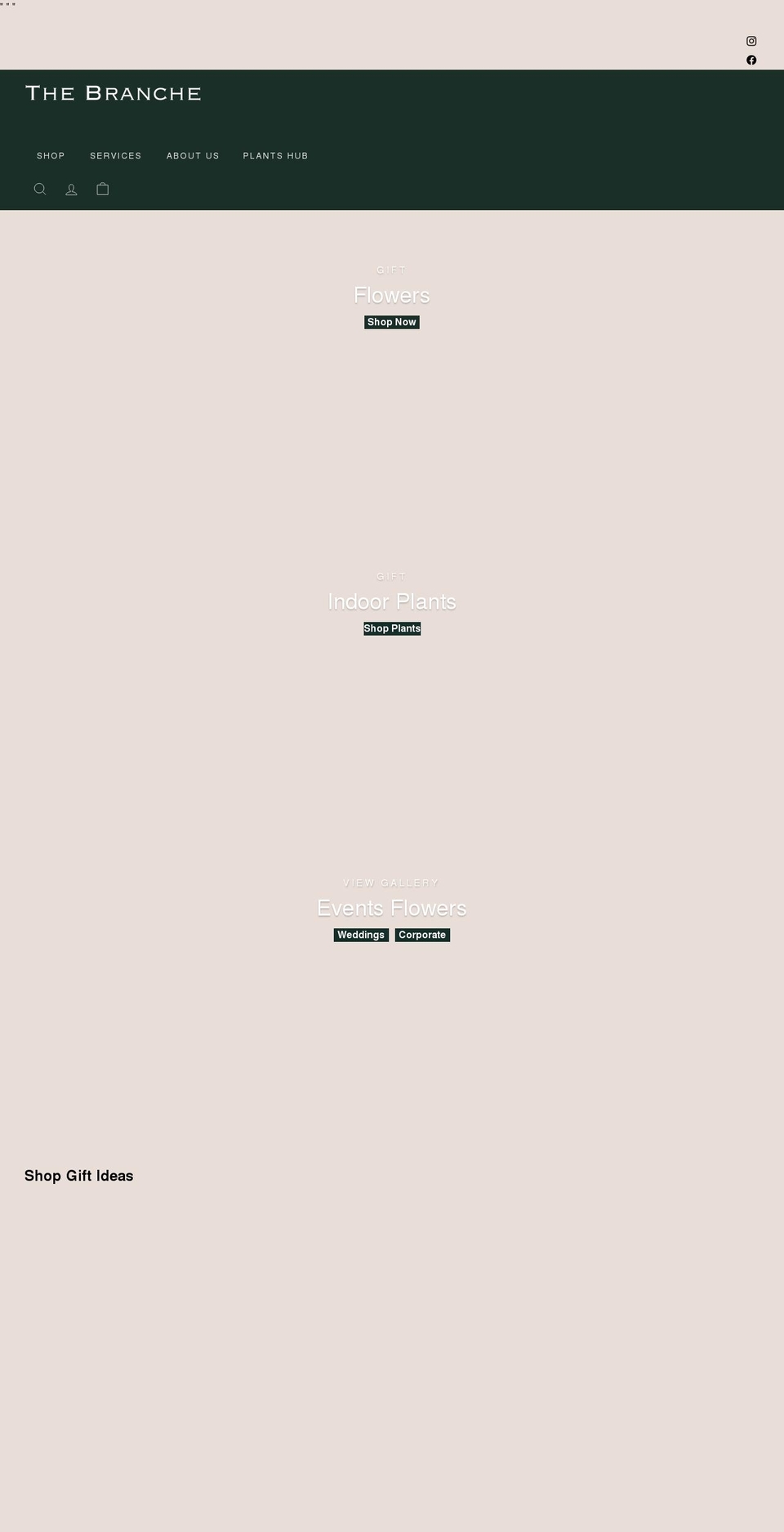thebranche.com.au shopify website screenshot