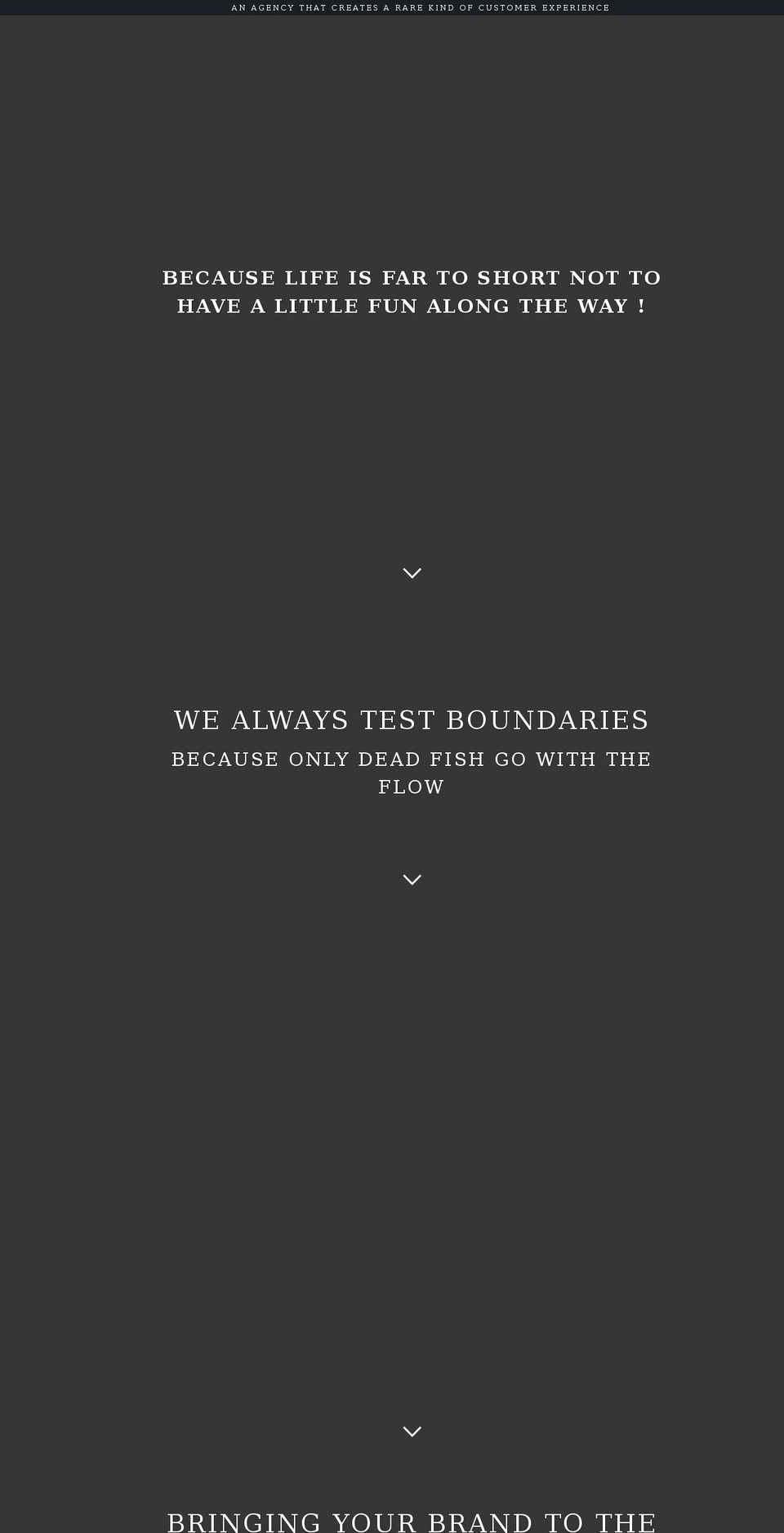 thebrand360.com shopify website screenshot