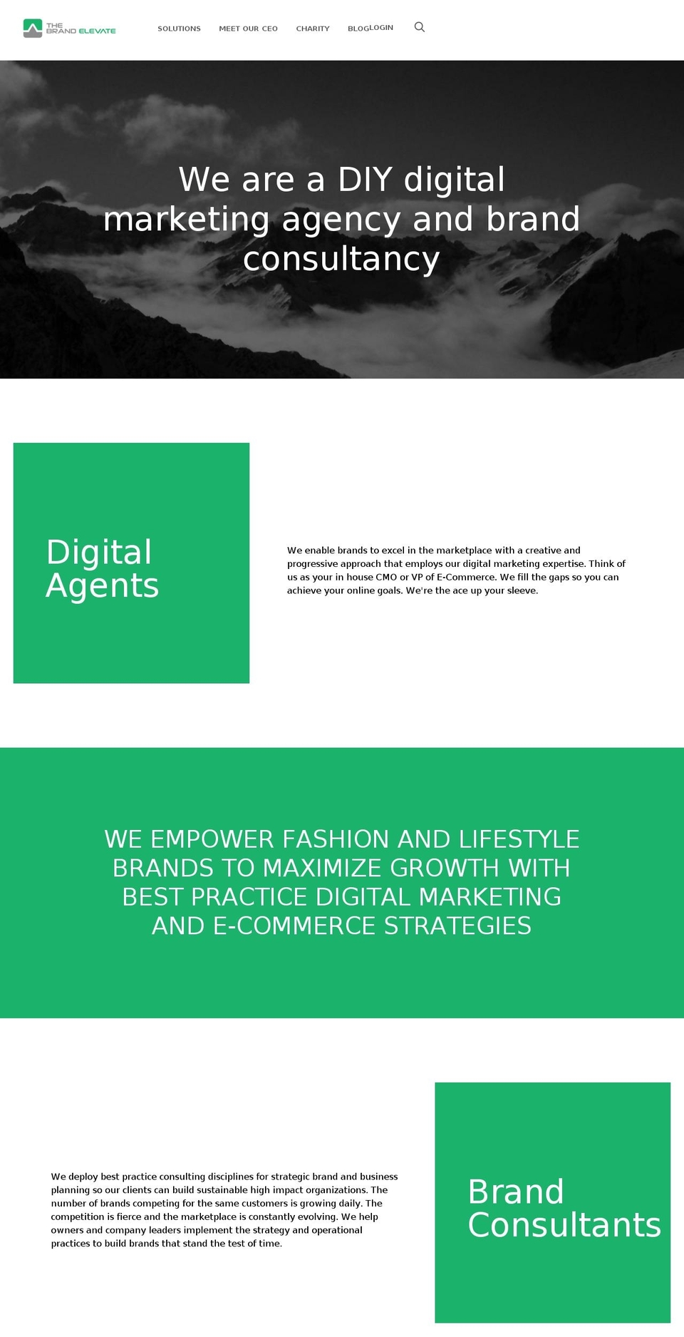 thebrandelevate.com shopify website screenshot