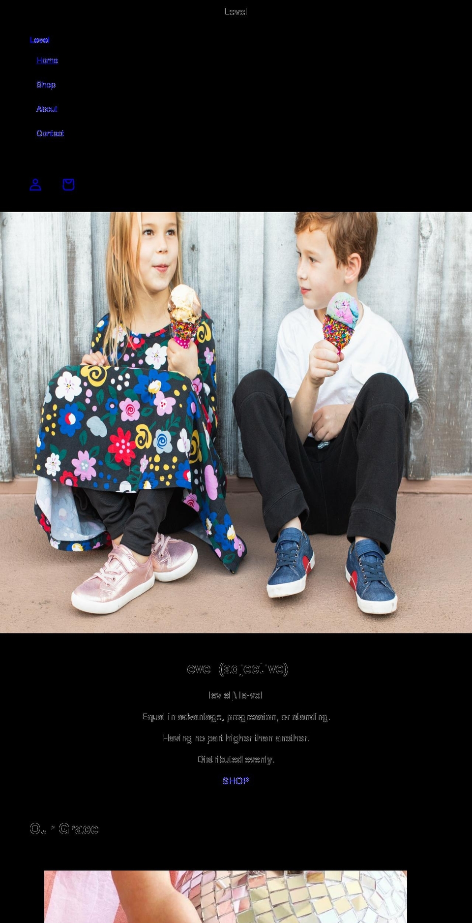 thebrandlevel.com shopify website screenshot