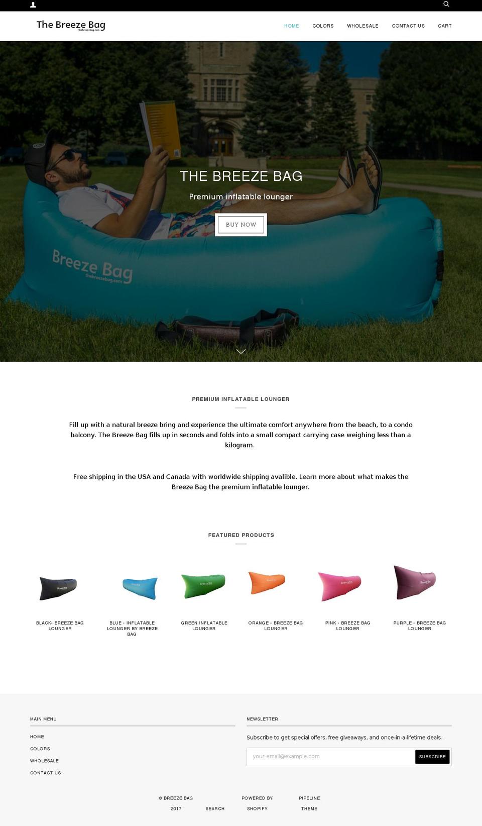 thebreezebag.com shopify website screenshot