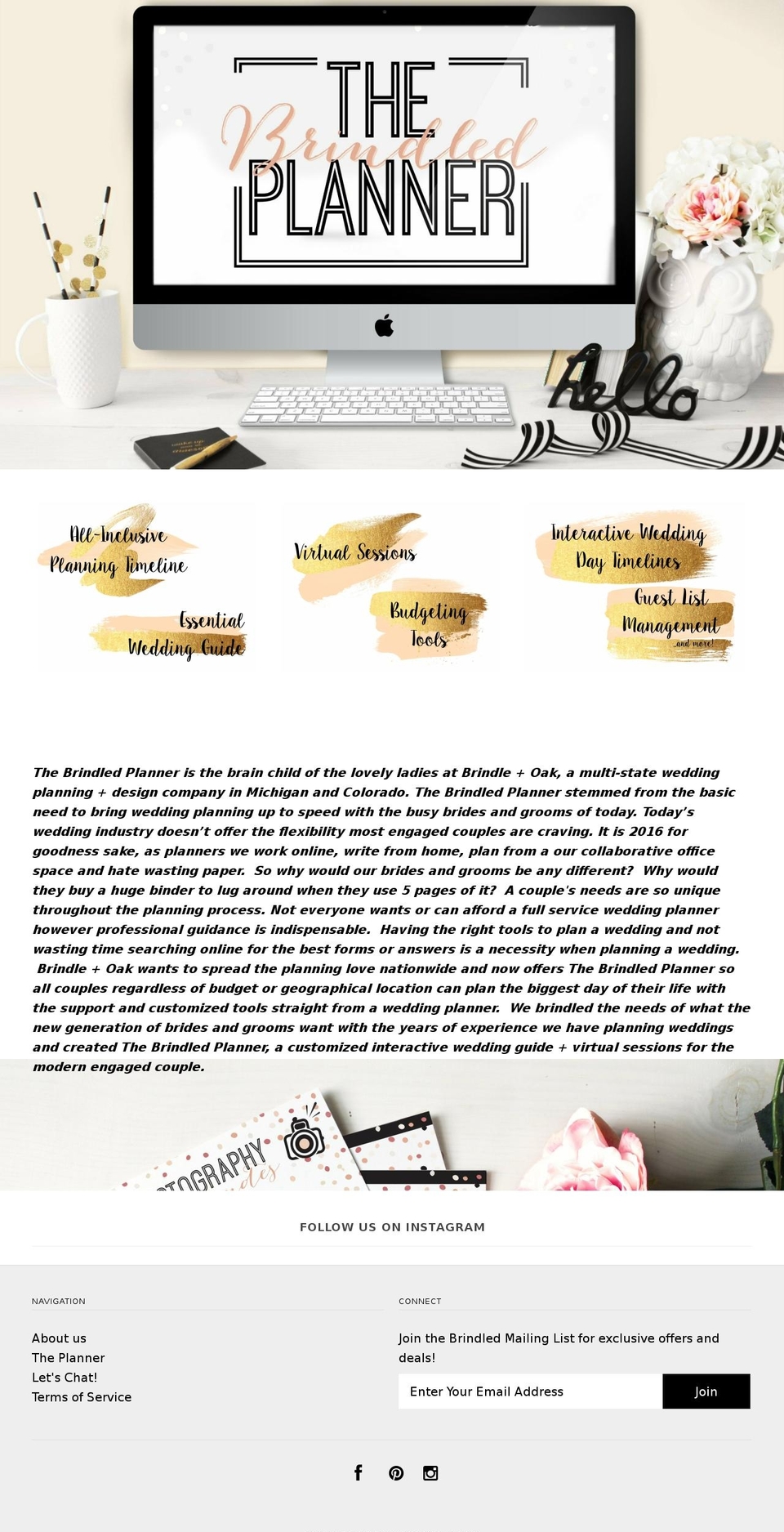 thebrindledplanner.com — Shopify storefront screenshot