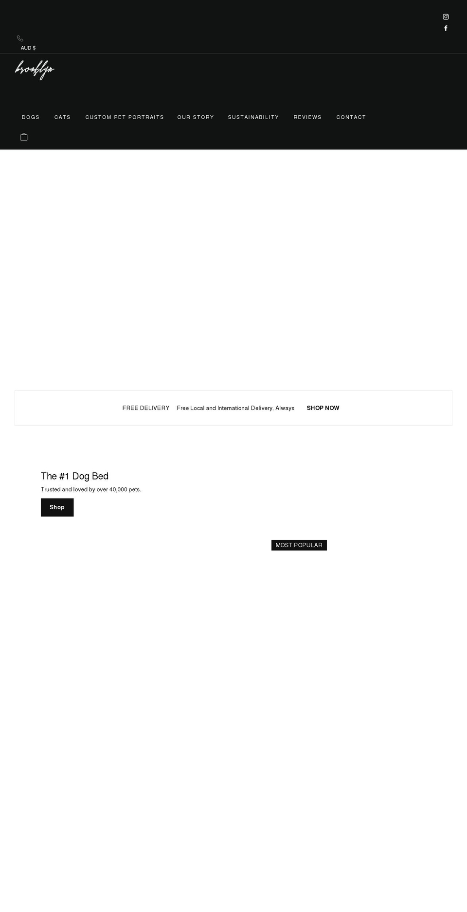 thebrooklyn.net shopify website screenshot