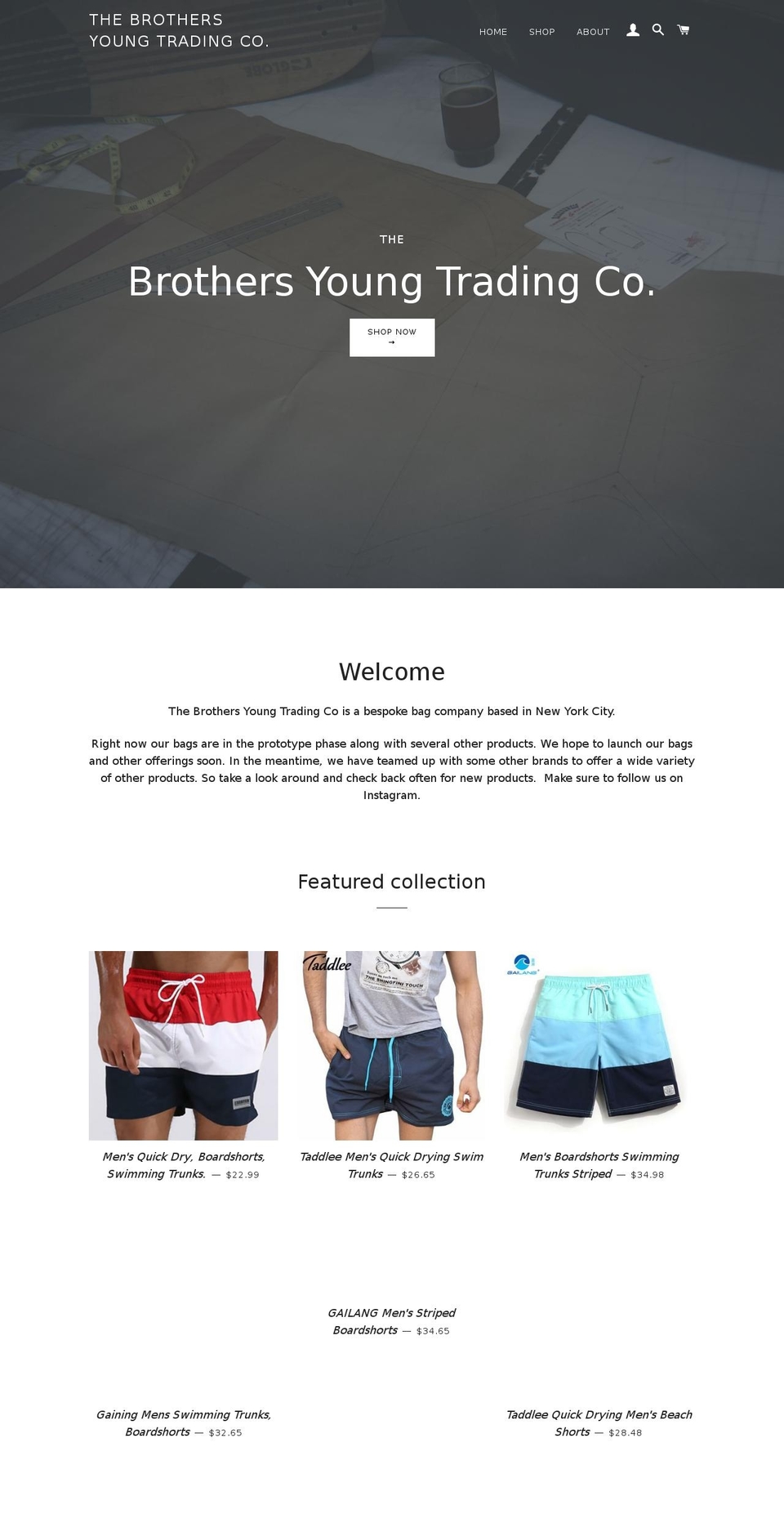thebrothersyoung.com — Shopify storefront screenshot