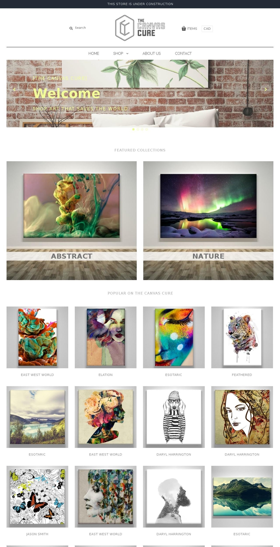 thecanvascure.com shopify website screenshot