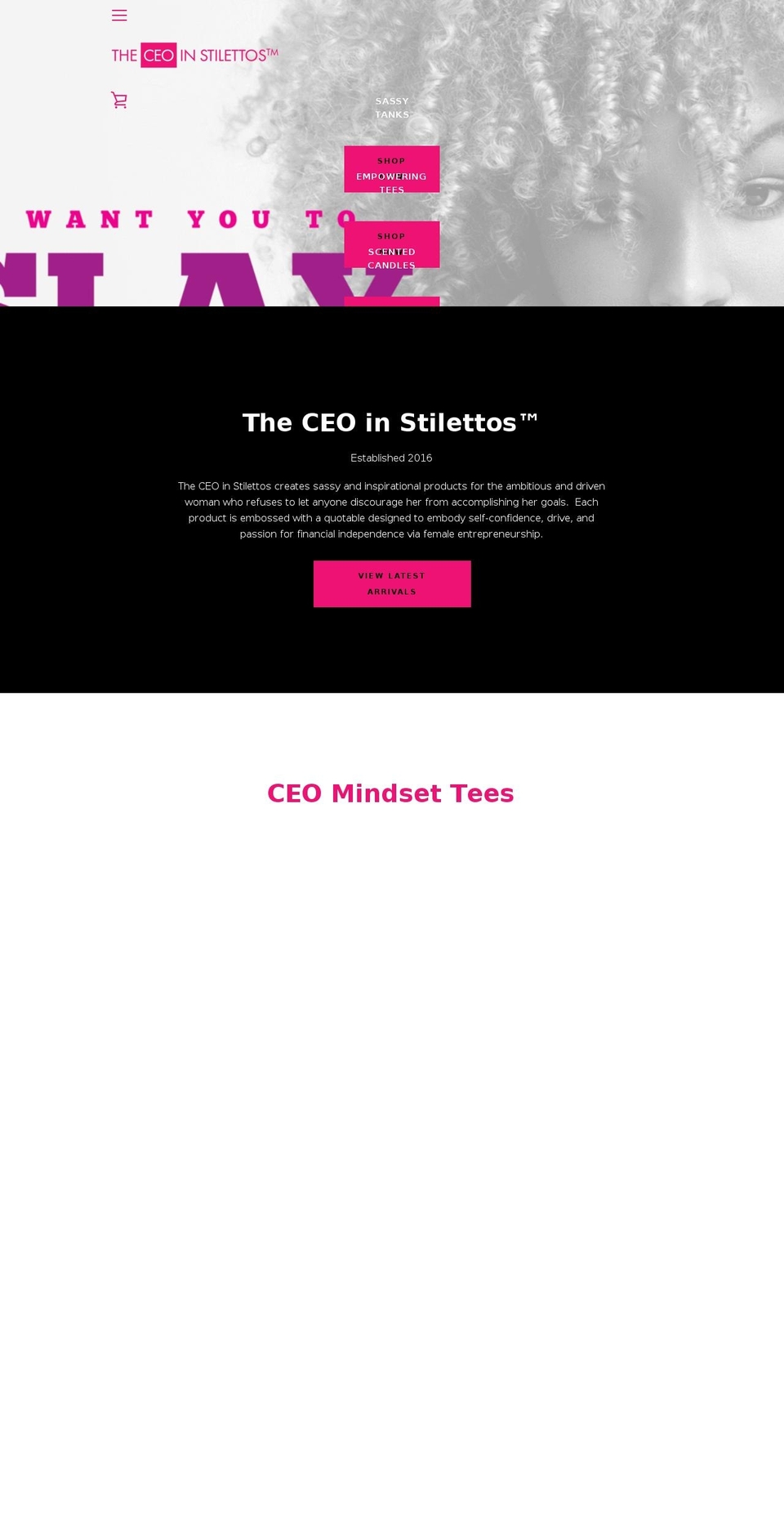 theceoinstilettos.com — Shopify store on .com