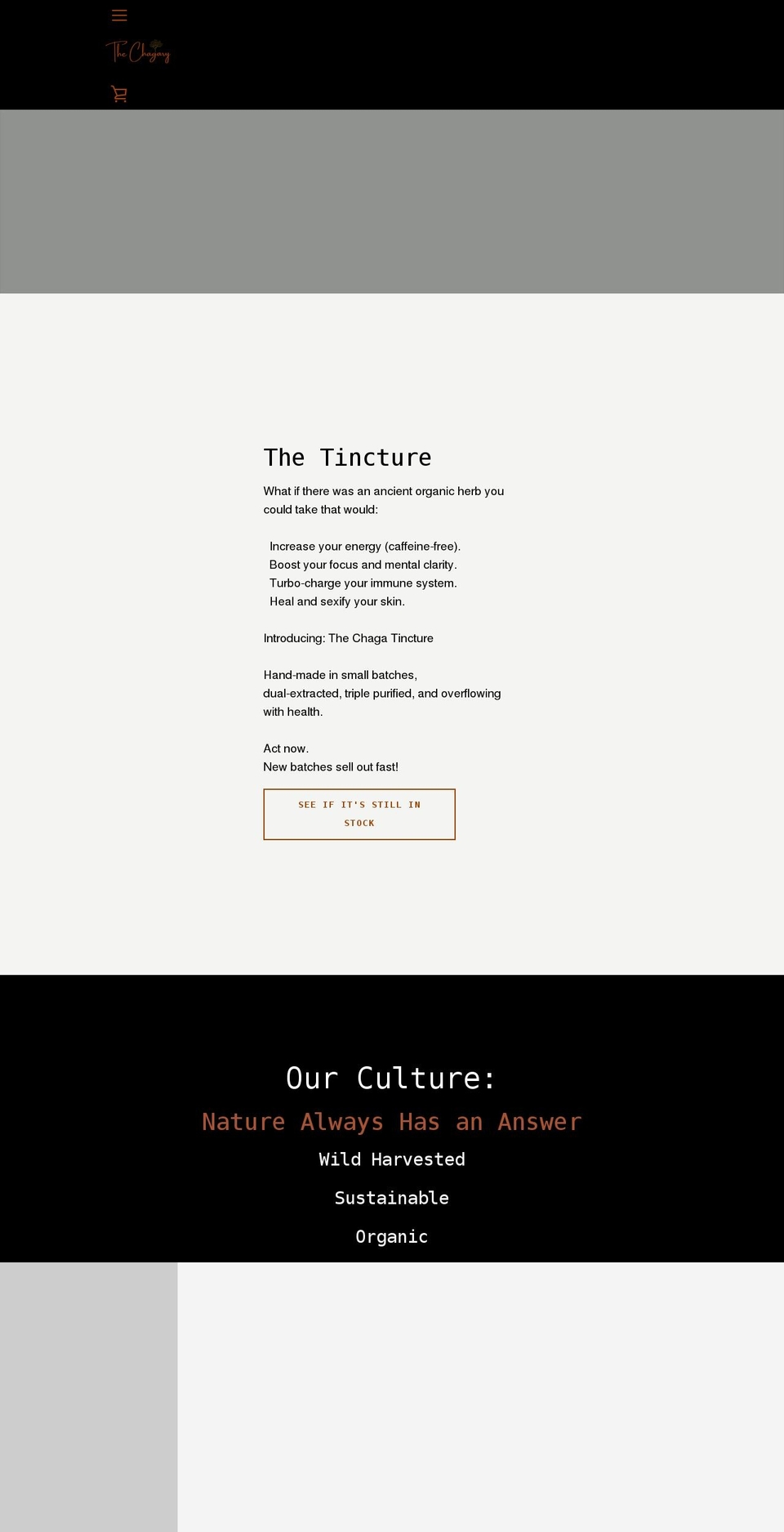 thechagary.com shopify website screenshot